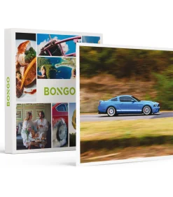 Online 3 rondes als piloot in een Ford Mustang Shelby GT500 in Mettet - Actie Geschenken