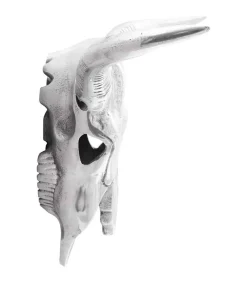 Bullschedel Zilver 34 x 13 x 53 cm Aluminium Decoratie