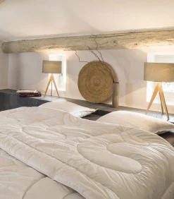 Best Camargue dekbed 150 Dekbedden