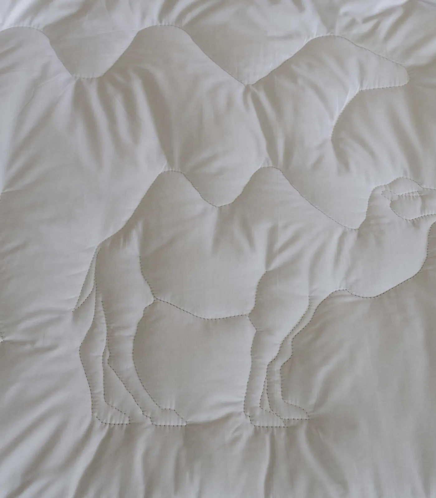 Outlet Camellia dekbed 450 Dekbedden