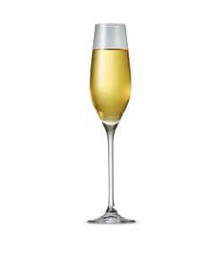 Clearance Champagneglas 21cl Cuvee - set/6 Glazen & Karaffen