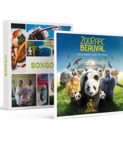 Best Dagje in het Franse ZooParc de Beauval in 2025 voor een gezin van 4 - Actie Geschenken