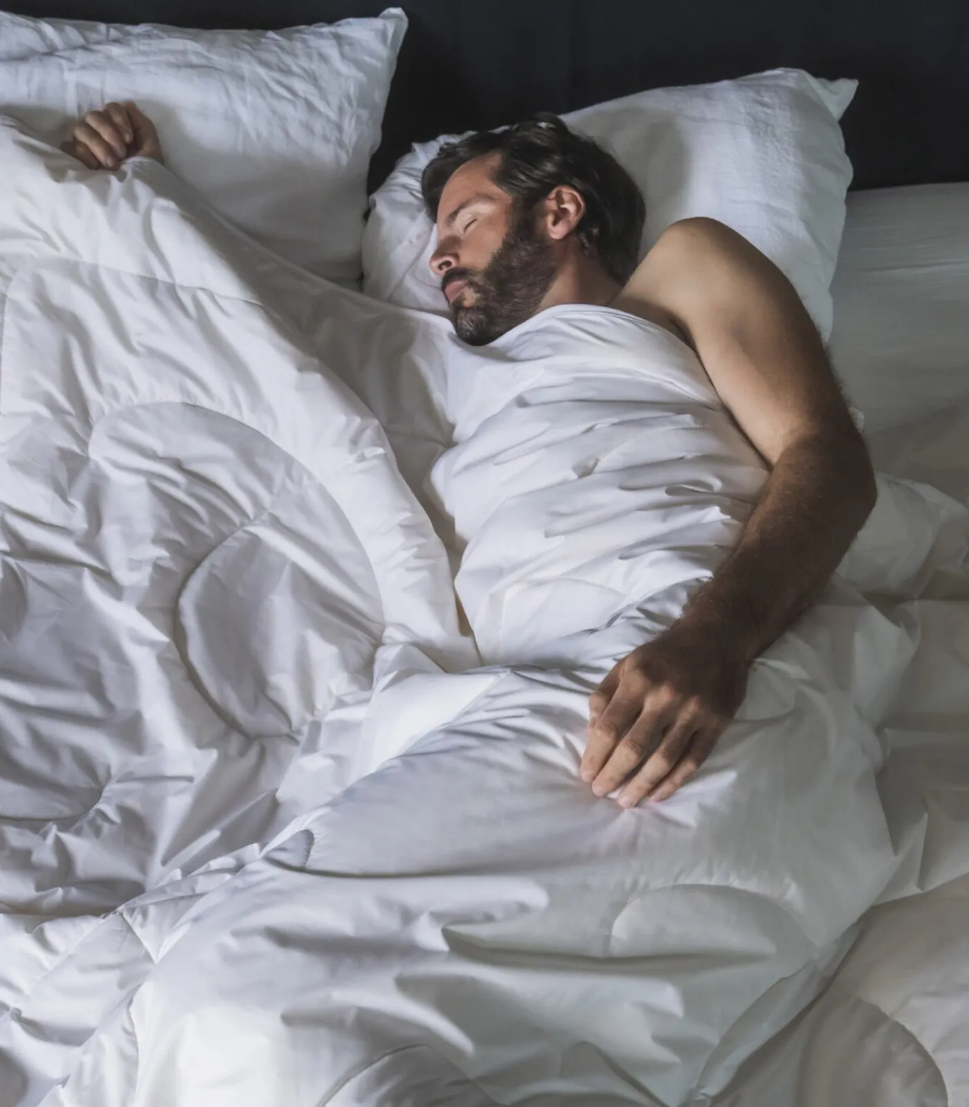 Sale Delphes dekbed Dekbedden