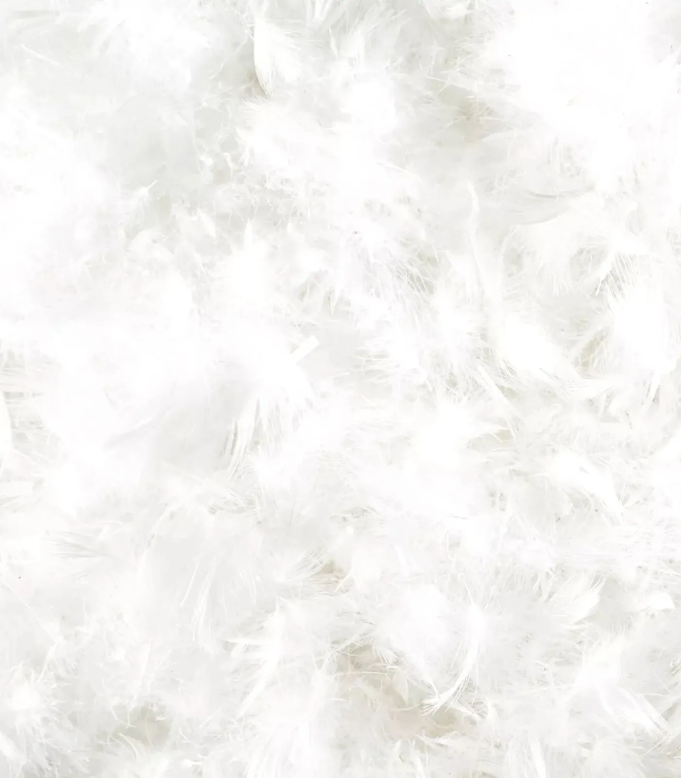 Clearance Donzen Kussen – Luxe van Kussens