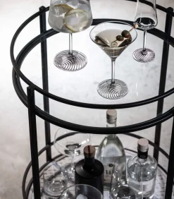 Echo Set 4 Longdrink 79 Glazen & Karaffen