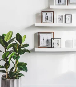 Hot FLOATING Box 20 x 25 wit Fotolijsten