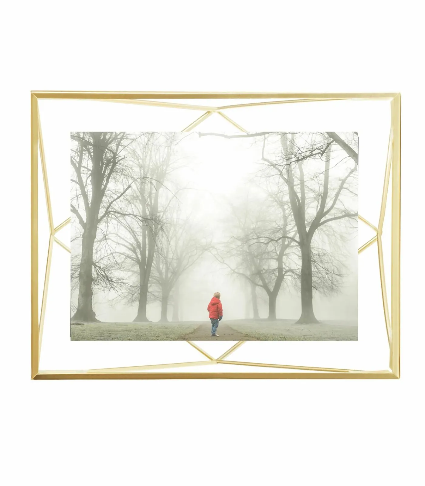 Online Foto houder Prisma Fotolijsten