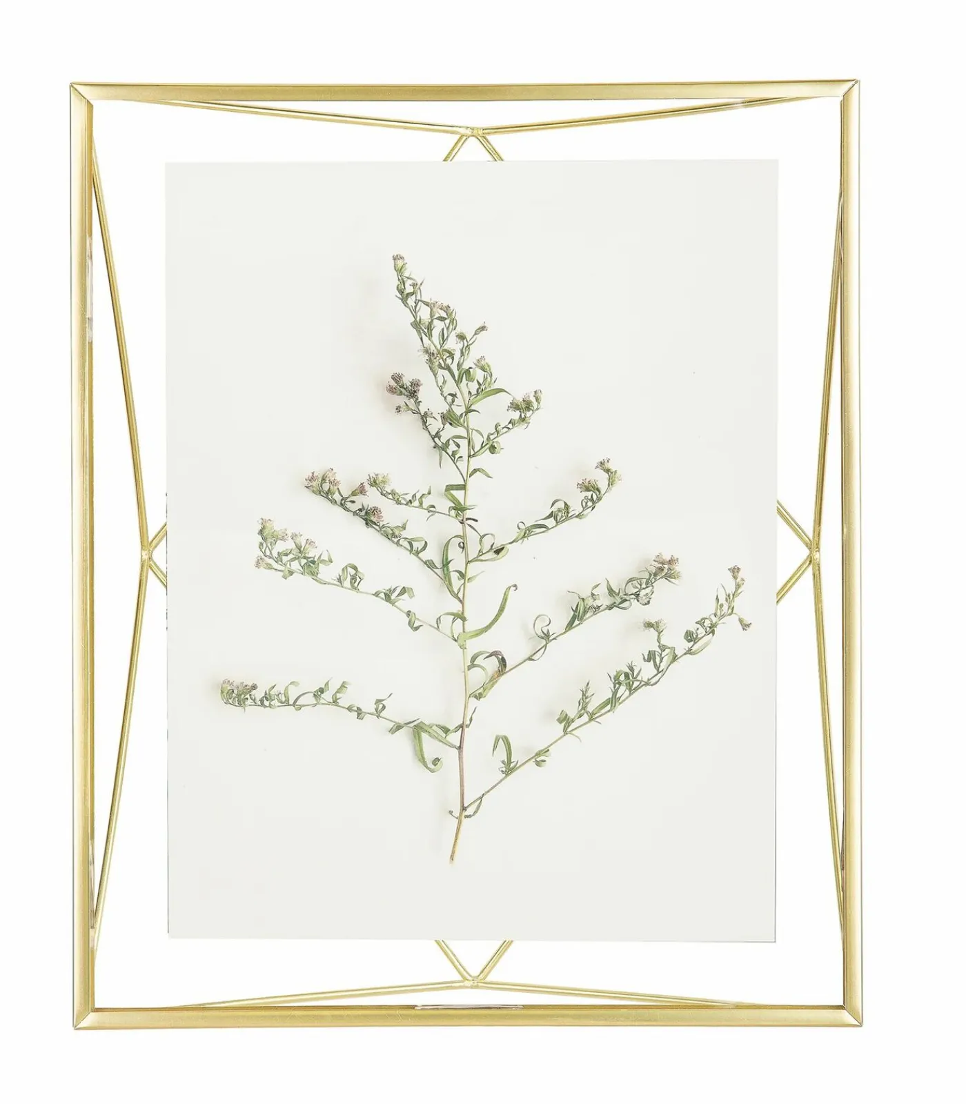 Outlet Foto houder Prisma Fotolijsten