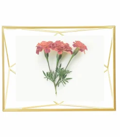 Hot Foto houder Prisma Fotolijsten