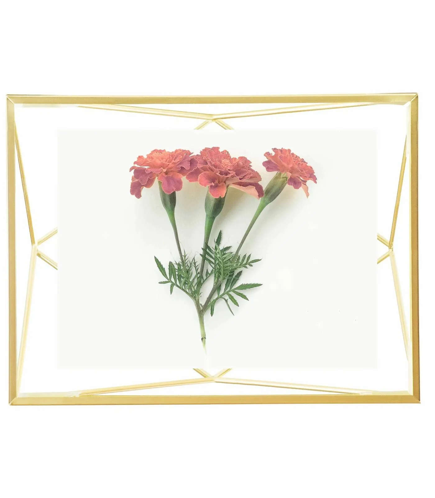 Hot Foto houder Prisma Fotolijsten