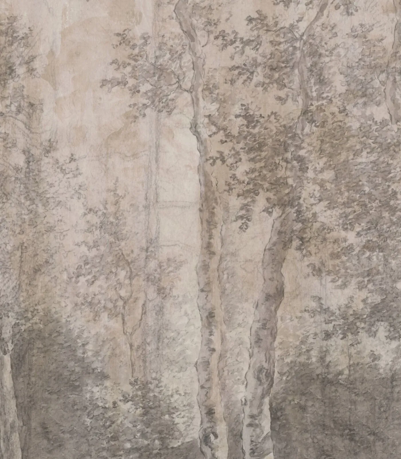 Sale Fototapete Birkenbume Wanddecoratie