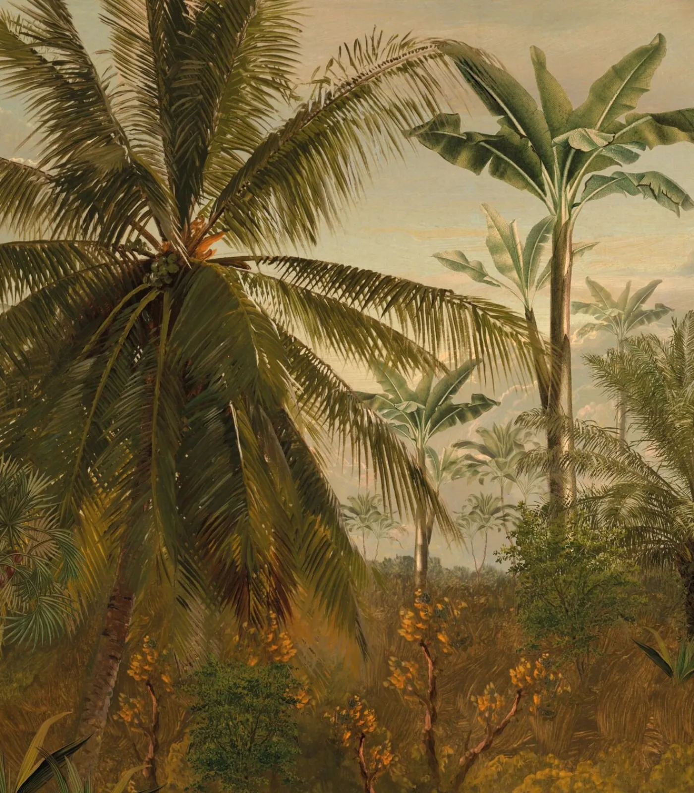 Hot Fototapete Dschungel Morgensonne Wanddecoratie