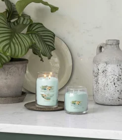 Geurkaars Aloe & Agave Signature Medium Jar Kaarsen & Kaarshouders