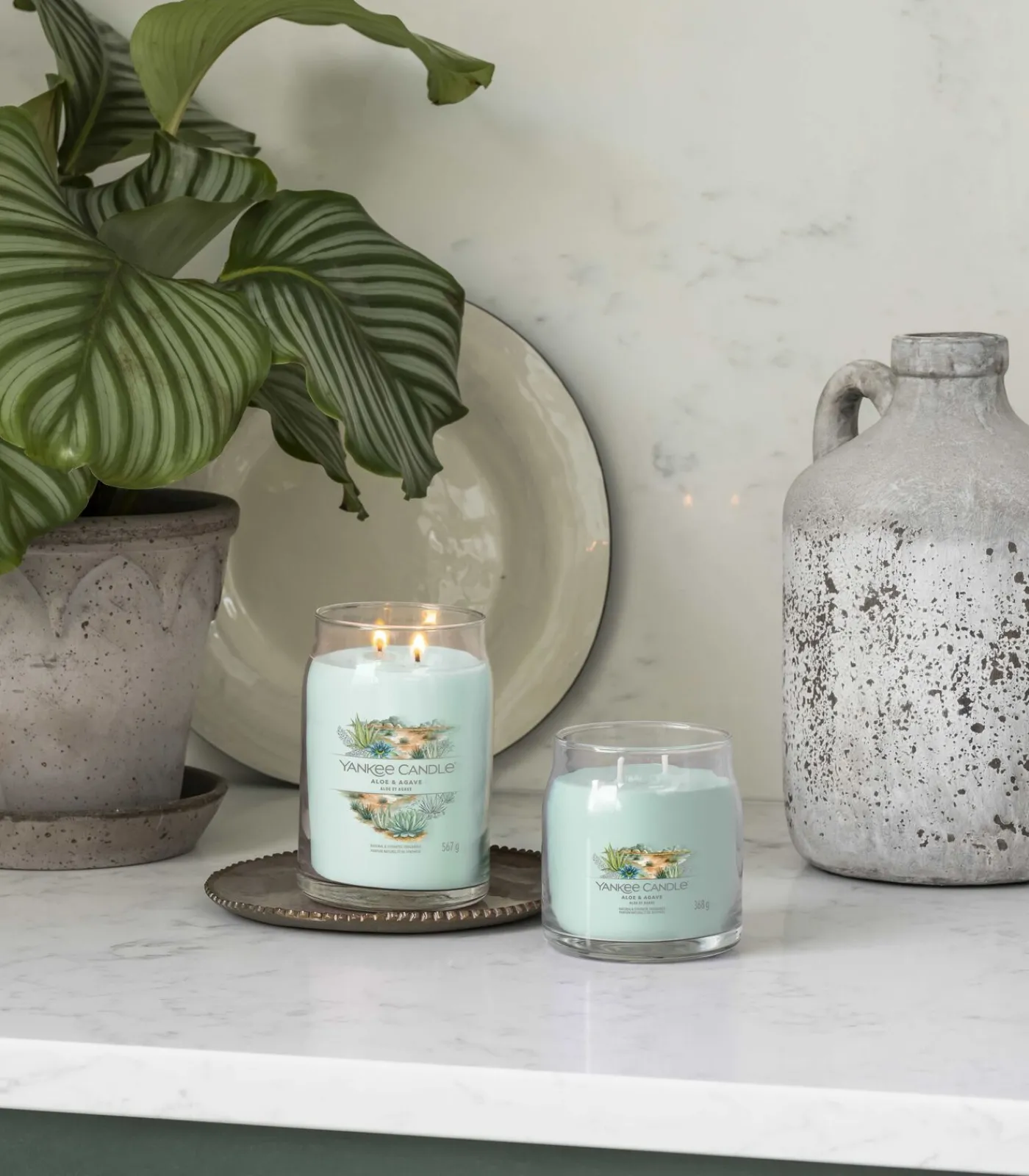 Geurkaars Aloe & Agave Signature Medium Jar Kaarsen & Kaarshouders