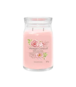 Clearance Geurkaars Fresh Cut Roses Signature Large Jar Kaarsen & Kaarshouders