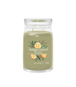 Sale Geurkaars Sage & Citrus Signature Large Jar Kaarsen & Kaarshouders