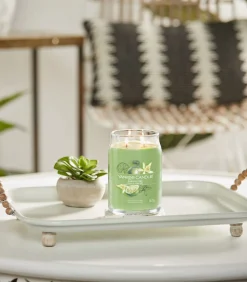 Hot Geurkaars Vanilla Lime Signature Large Jar Kaarsen & Kaarshouders