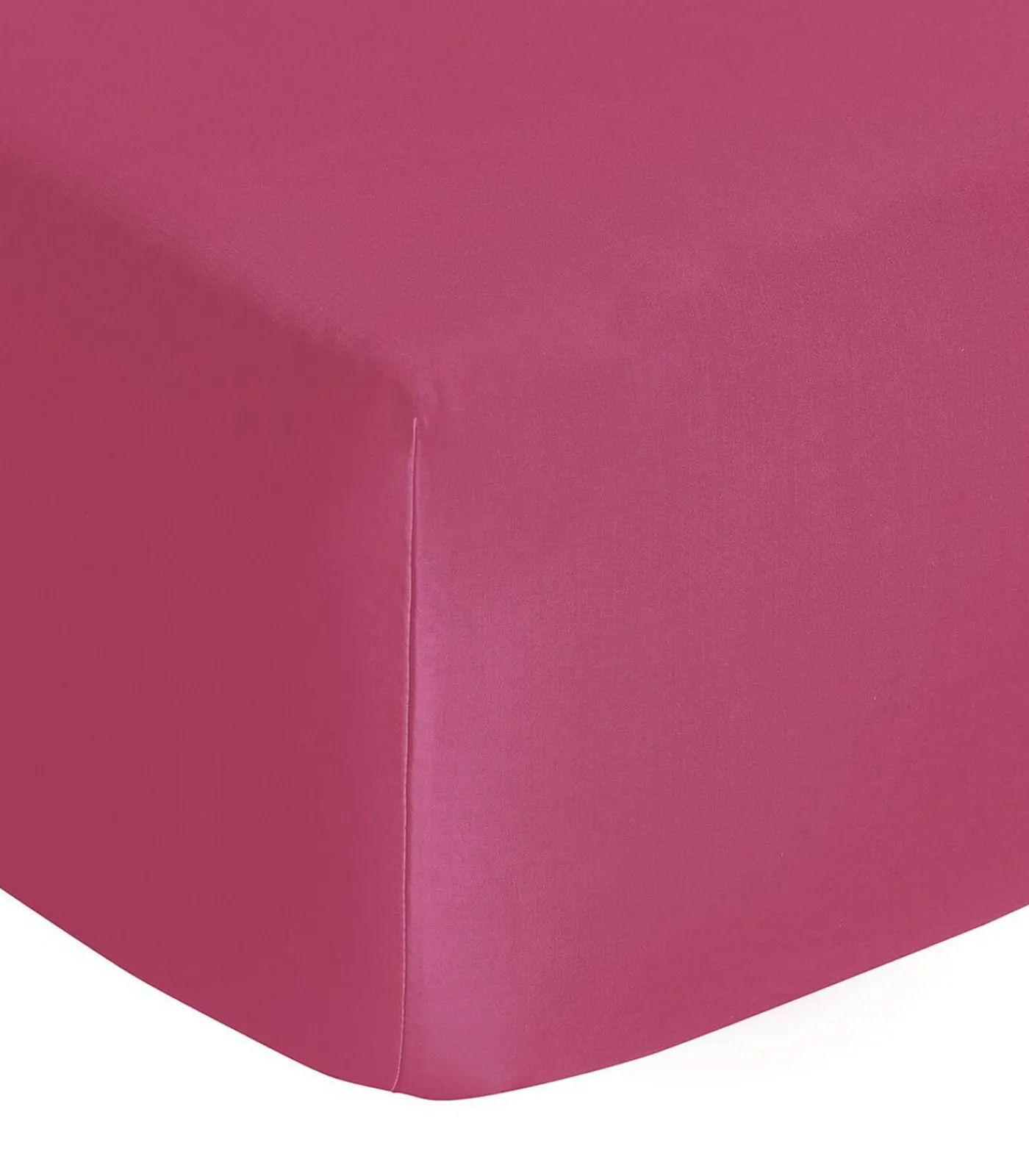 New HoesLaken | Vexin · Clématite Hoeslakens