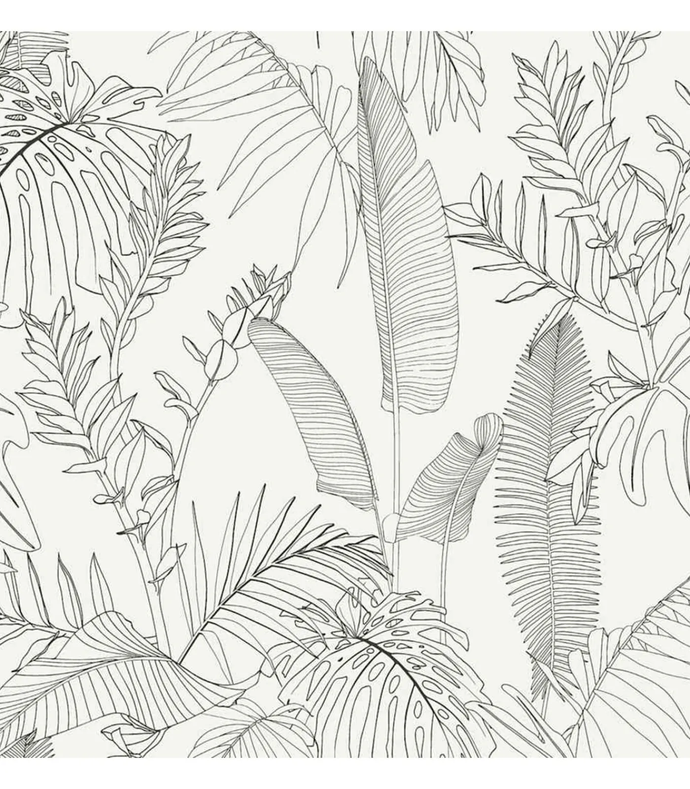 Online HOLLANDSE WANDBEKLEDING Behang Galapalos Wit Decoratie