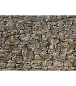 Fotobehang Stone Wall 368x254 cm 8-727 Decoratie