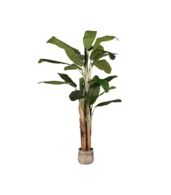 Sale Kunstplant Musa 110x110x180 cm Decoratie