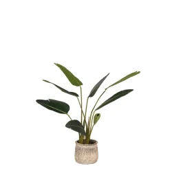 Outlet Kunstplant Strelitzia 70x70x100 cm Decoratie
