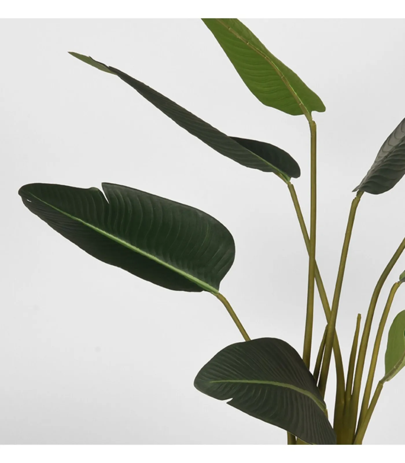 Outlet Kunstplant Strelitzia 70x70x100 cm Decoratie