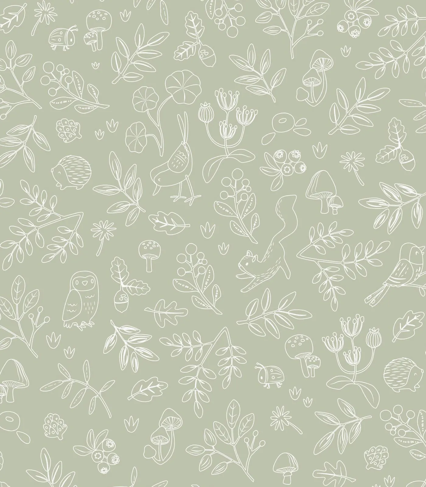 New Vliesbehang - Forest Wonders Sage - 1000x53 Wanddecoratie