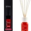 Best Milano Reed Diffuser Mela & Cannella 100ml Huisparfums
