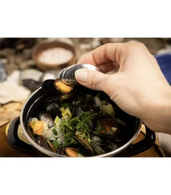 Discount Mosselbestek 2-delig Bestek