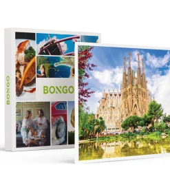Sale Rondleiding door de Sagrada Familia - Actie Geschenken