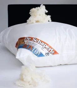 Hot Schaperie Hoofdkussens - Set van 2 stuks Kussens