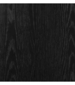 Online Schoenenkasten 32x35x70 cm spaanplaat 2 st zwart eikenkleurig Organiseren