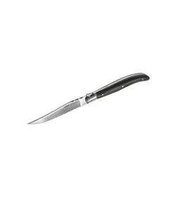 Set steakmessen BASCO, 4 stuks in hoogwaardige dennenhouten box Bestek