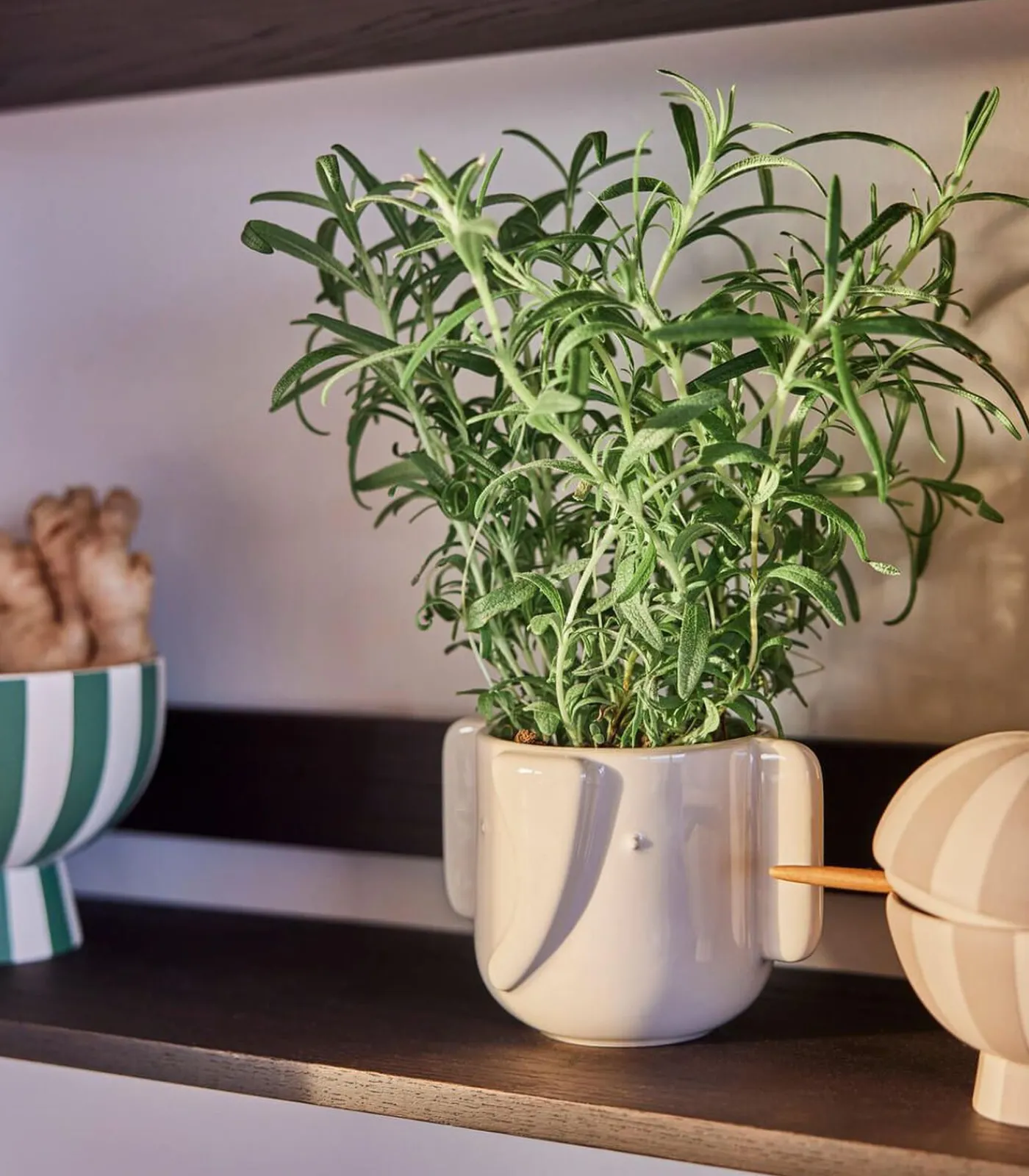 Snoepdoos van steengoed Keukenaccessoires