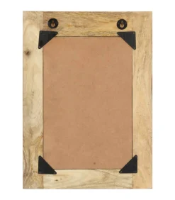 Spiegel handgeschilderd 40x55 cm massief mangohout Spiegels