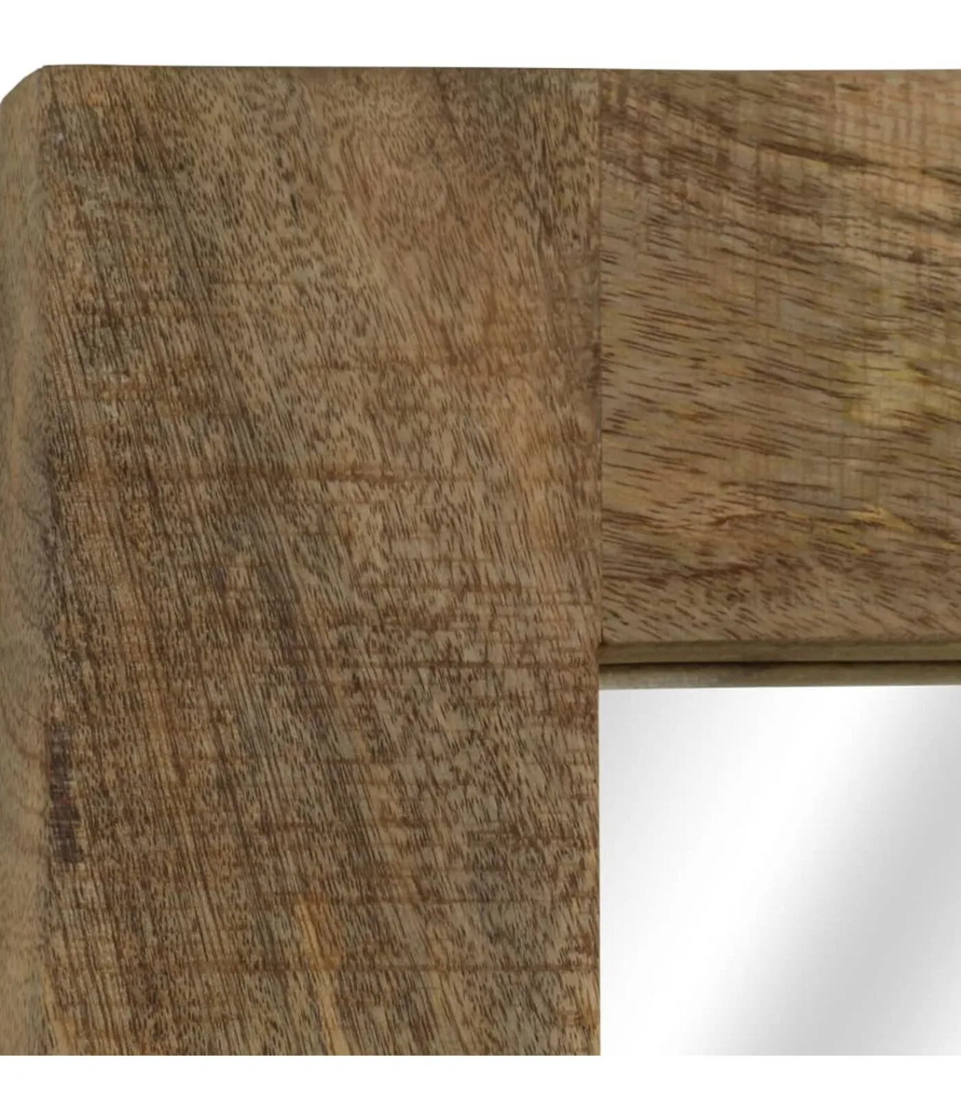 Spiegel 50x110 cm massief mangohout Spiegels