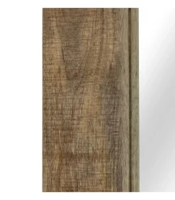 Spiegel 50x110 cm massief mangohout Spiegels