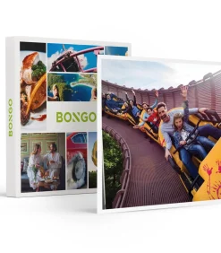 Discount Toegang voor 2 volwassenen en 2 kinderen tot Parc Astérix - Specials Geschenken
