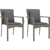 Online Tuinstoelen 2 st met kussens poly rattan grijs Tuinmeubelen