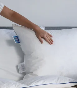 Veren Hoofdkussen Kussens