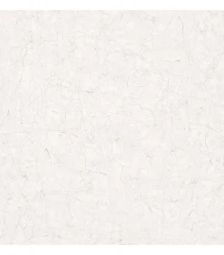 New Vintage Deluxe Behang Stucco Crackle en wit Decoratie