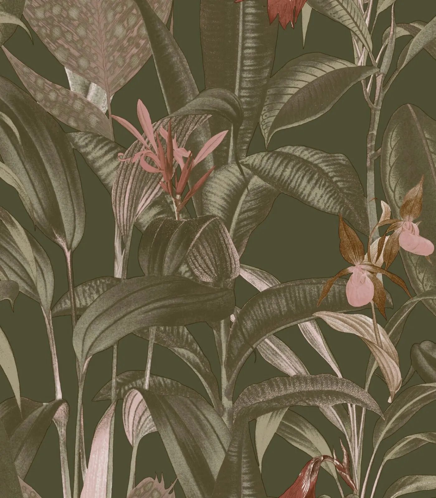 Clearance Vliestapete Tropische Bltter Grn Wanddecoratie