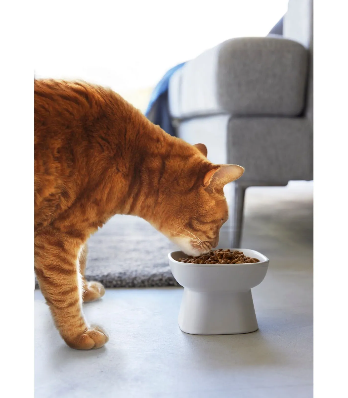 Sale Voerbak Kat / Hond - Keramisch - Tower - Wit Decoratie