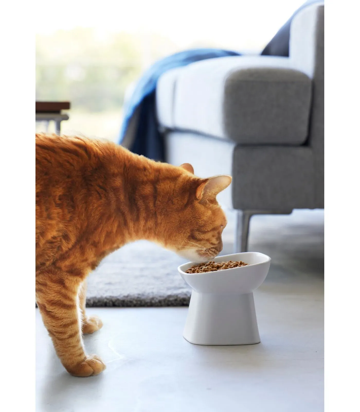 Sale Voerbak Kat / Hond - Schuin - Keramisch - Tower - Wit Decoratie