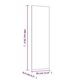 Outlet Wandspiegel 30x100 cm rechthoekig glas Spiegels