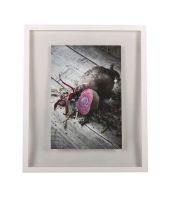 Hot WINDOW Fotokader 50x60 Fotolijsten