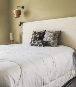 Sale Zijden dekbed 250 Dekbedden